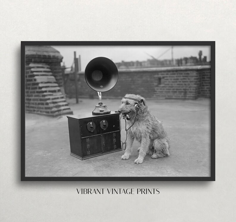 May include: Black and white framed print featuring a dog wearing headphones and holding a phone receiver, sitting next to a vintage radio with a large horn speaker. The print is labeled "VIBRANT VINTAGE PRINTS".
