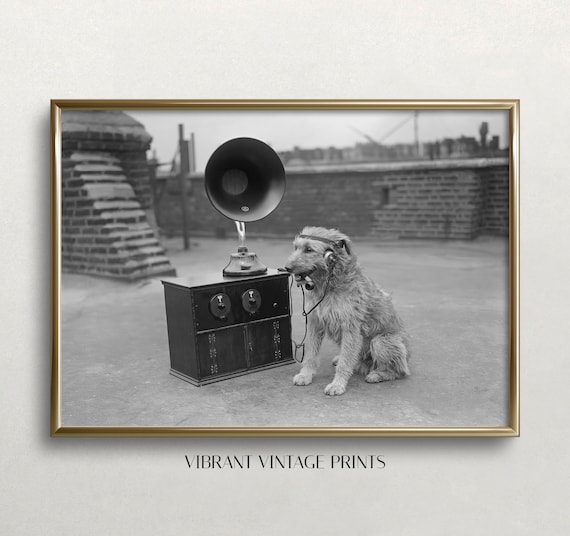 Funny Dog Art Print: Vintage Dog with Headphones (Digital Download)
