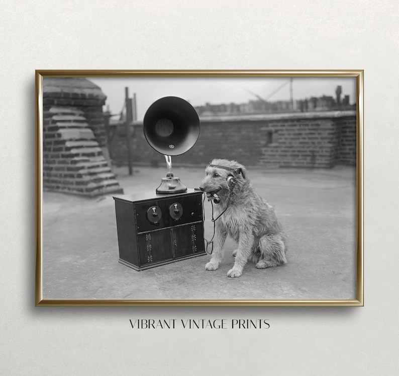 May include: Black and white framed print featuring a dog wearing headphones and holding a phone receiver, sitting next to a vintage radio with a large horn speaker. The print has the text "VIBRANT VINTAGE PRINTS" at the bottom.