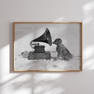 May include: A black and white photo of a dog listening to a vintage gramophone in a snowy landscape. The gramophone is on a wooden box labeled "Scott's Antarctic Expedition".