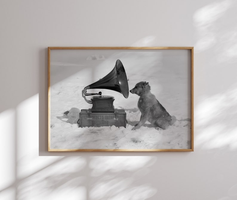 May include: A black and white photo of a dog listening to a vintage gramophone in a snowy landscape. The gramophone is on a wooden box labeled "Scott's Antarctic Expedition".