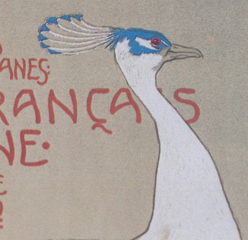 Op de afbeelding: Vintage-stijl illustratie van een pauw met een wit lichaam en een blauw-witte kuif. De vogel heeft een lange, gebogen nek en een gedetailleerde snavel. Rode tekst is gedeeltelijk zichtbaar op de achtergrond, wat bijdraagt aan de klassieke esthetiek.