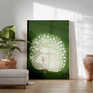 Op de afbeelding: Een ingelijste print van een witte pauw met zijn staartveren uitgespreid in een waaier. De pauw staat op een groene achtergrond.