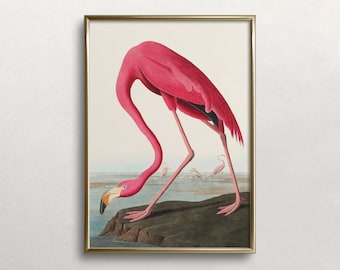 Flamingo Wall Art | Vintage Wall Art | Audubon Wall Art | Pink Flamingo Print | Wildlife Print | Digital DOWNLOAD | PRINTABLE Wall Art #266