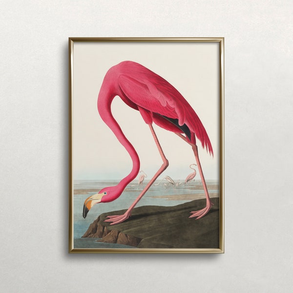 Flamingo Wall Art | Vintage Wall Art | Audubon Wall Art | Pink Flamingo Print | Wildlife Print | Digital DOWNLOAD | PRINTABLE Wall Art #266