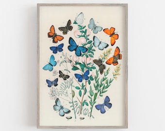 Vintage Butterfly Print: Antique Farmhouse Wall Art (Digital Download)
