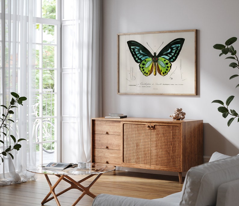May include: A framed butterfly print with a light wood frame hangs above a wooden cabinet. The butterfly has black, teal, yellow, and green wings. The cabinet has three drawers and a woven door. A glass coffee table and white curtains are in the background.
