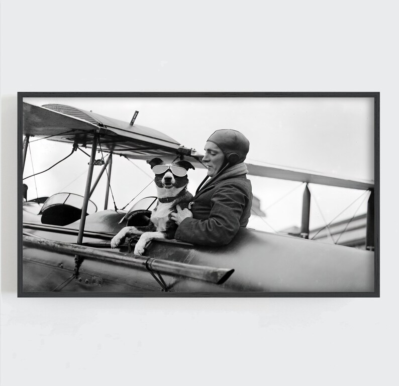 Peut inclure: Photographie encadr&eacute;e en noir et blanc d'un biplan avec une personne et un chien portant des lunettes de soleil. La personne porte un casque et une veste en cuir. Le chien est assis dans le cockpit.