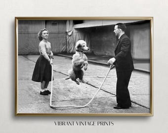 Vintage Poodle Jumping Rope Art: Funny Dog Print (Digital Download)