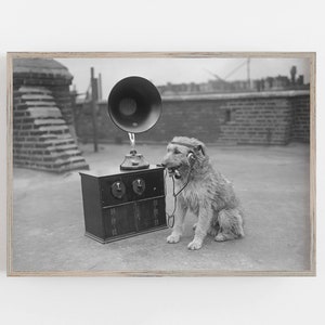 May include: Black and white photograph of a dog wearing headphones and holding a microphone cord in its mouth, sitting next to a vintage radio with a large horn speaker. The image is framed and set against a brick background.