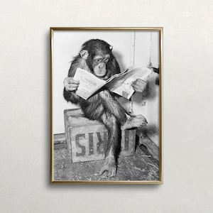 Scimpanzé che legge il giornale, arte in bianco e nero, arte della parete vintage, carta da lettura dello scimpanzé, arte animale divertente, DOWNLOAD DIGITALE, arte STAMPABILE