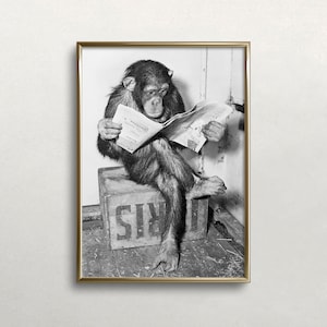 Chimpanzee Reading Newspaper, Black and White Art, Vintage Wall Art, Chimp Reading Paper, Funny Animal Art, DIGITAL DOWNLOAD, PRINTABLE Art