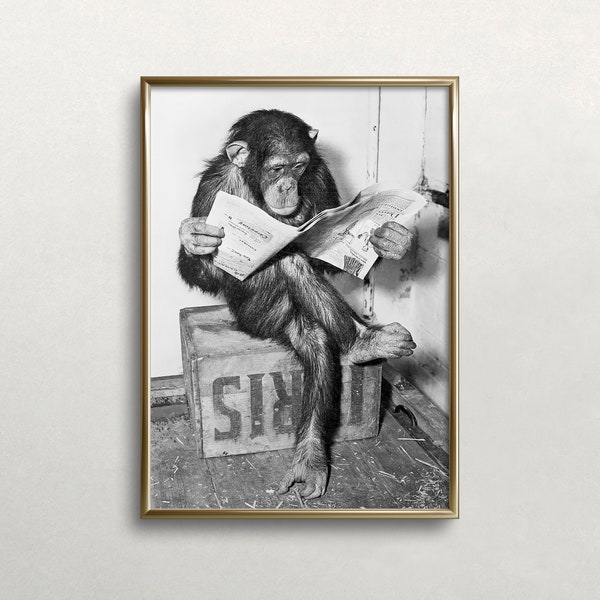 Chimpanzee Reading Newspaper, Black and White Art, Vintage Wall Art, Chimp Reading Paper, Funny Animal Art, DIGITAL DOWNLOAD, PRINTABLE Art