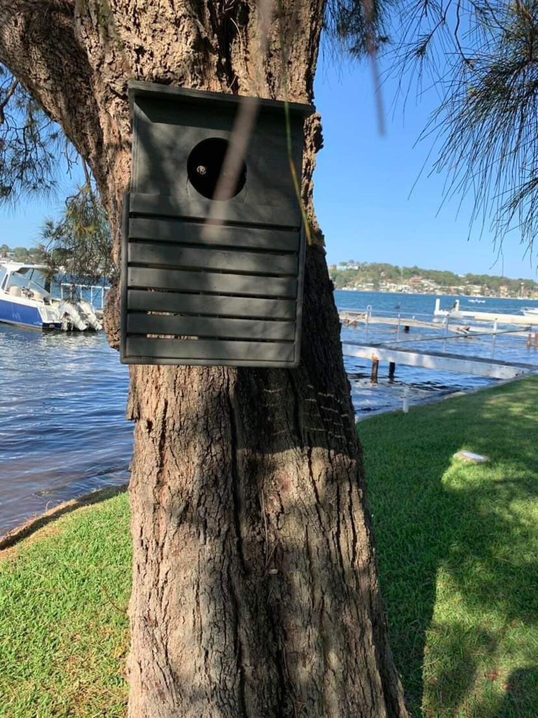 Native Australian Bird Nesting Box Etsy