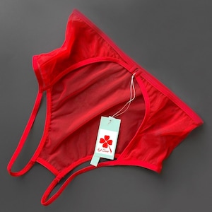 Può includere: Intimo in rete trasparente rosso brillante con design a listini e sottili fasce elastiche. Un'etichetta rettangolare verde chiaro è fissata con un cordino bianco, riportante un quadrifoglio rosso e la scritta Red Clover in caratteri rossi.