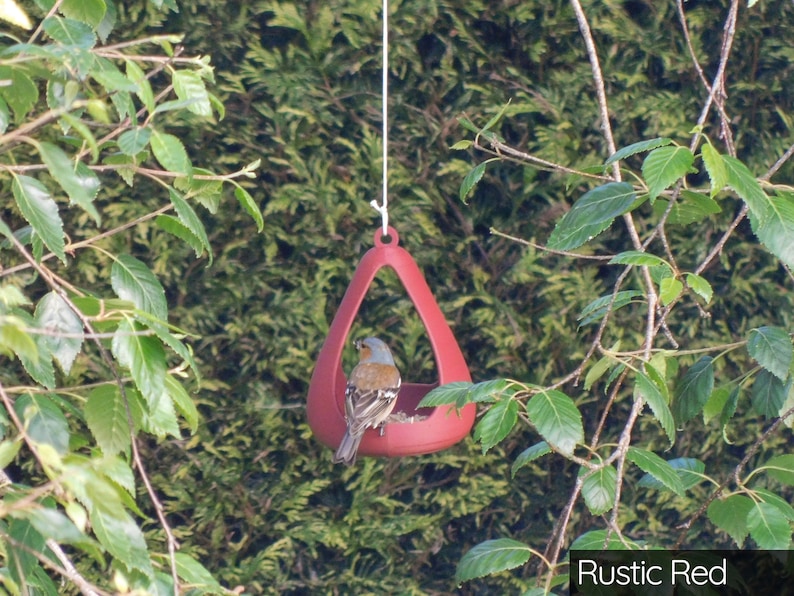 May include: A rustic red bird feeder shaped like a teardrop hangs from a tree branch. A small bird is perched inside the feeder.