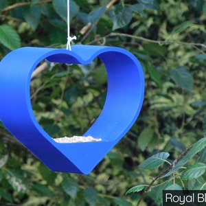 May include: A blue heart-shaped bird feeder hanging from a tree branch. The feeder is filled with birdseed.