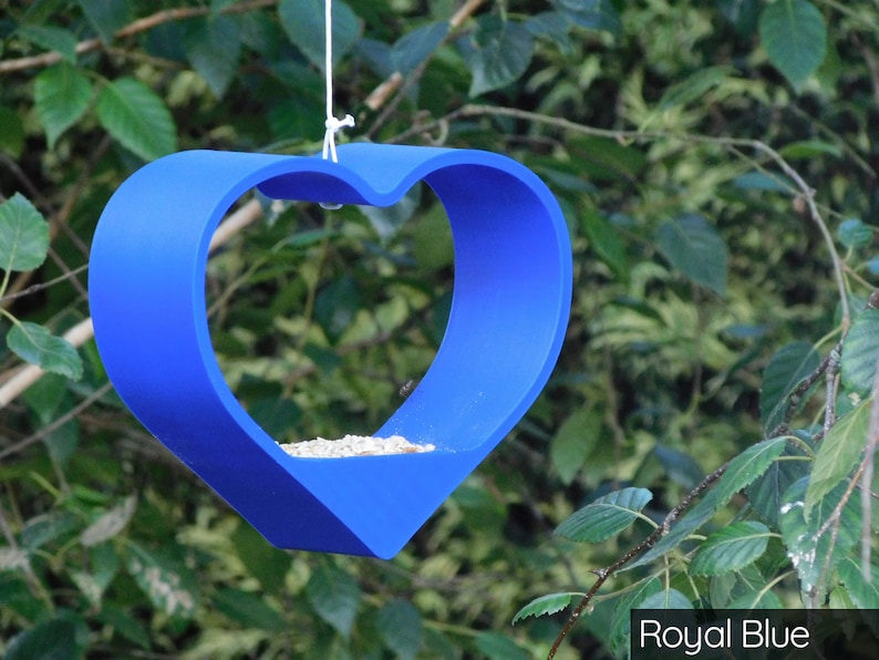 May include: A blue heart-shaped bird feeder hanging from a tree branch. The feeder is filled with birdseed.