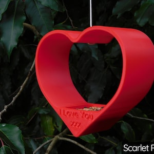 May include: A red heart-shaped bird feeder with the words "I Love You XXX" printed on the front. The feeder is filled with birdseed and hanging from a branch.