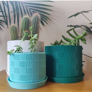 May include: Three potted plants in geometric patterned planters. The planters are green and white with a geometric pattern. The plants are a cactus, a succulent, and a leafy plant.