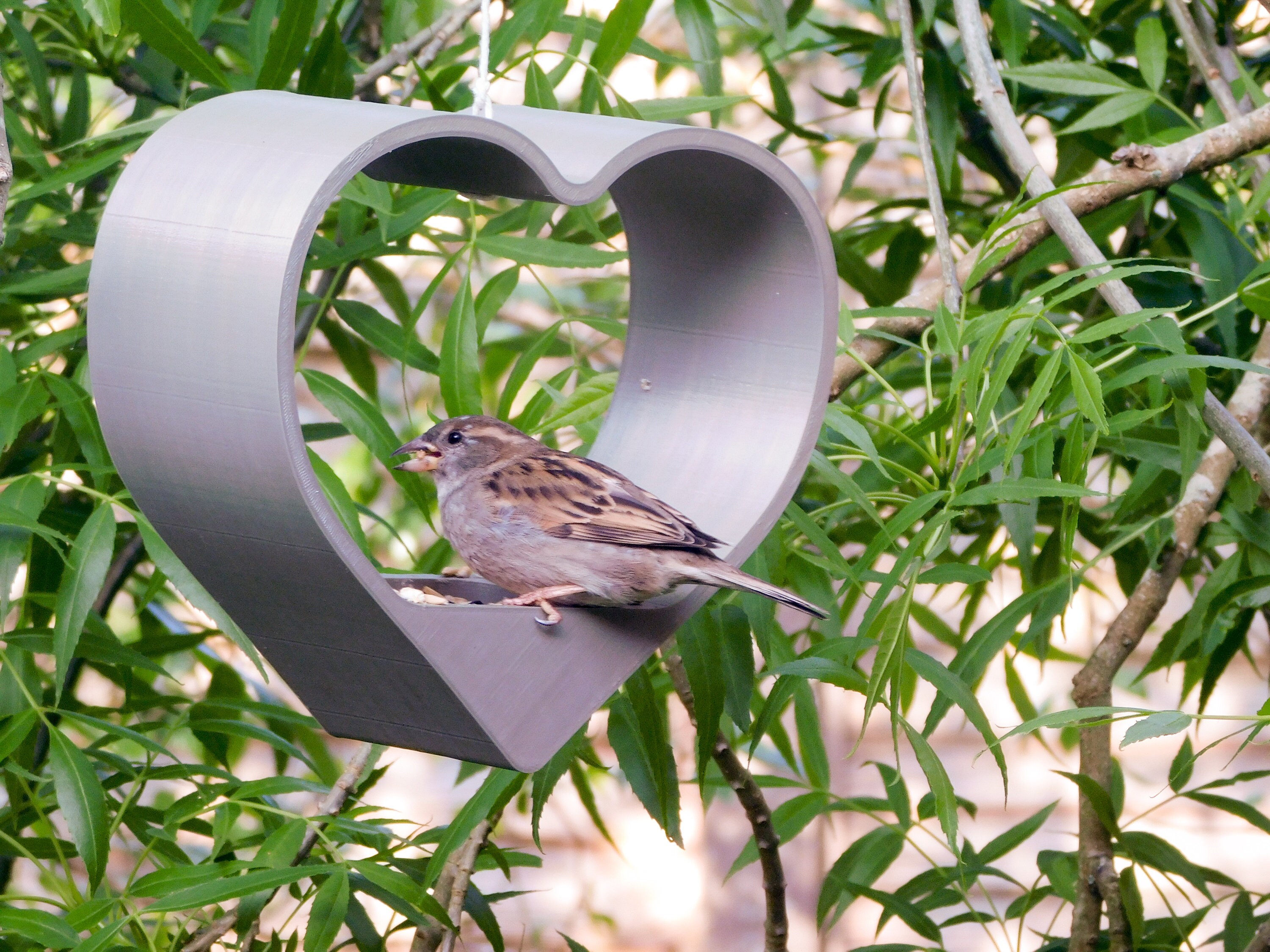 Heart Bird Feeder Etsy