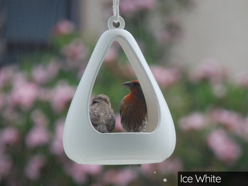 Pear Drop Bird Feeder image 1