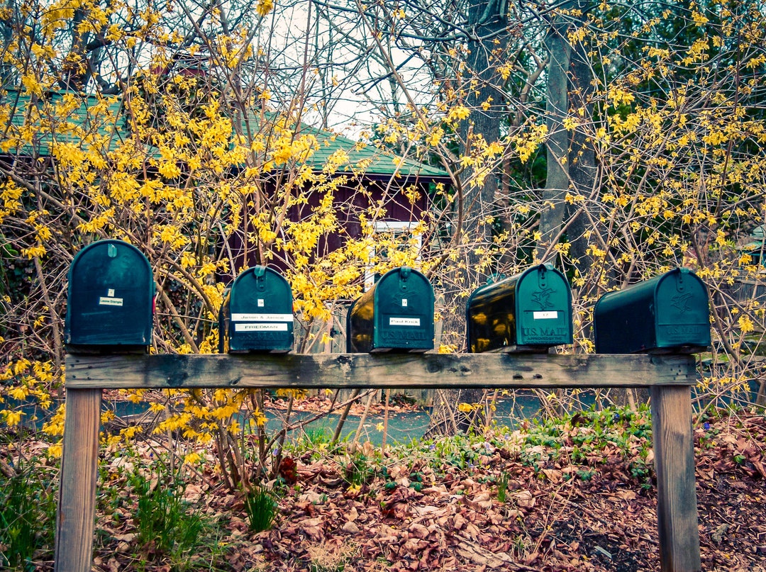 Classic American Letter Boxes. Croton on Hudson. New York. - Etsy Australia