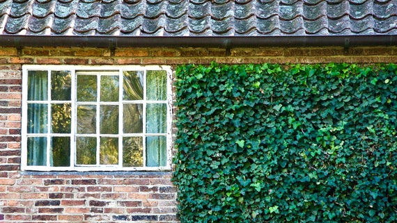 Window Captain Cooks Cottage In The Fitzroy Gardens Etsy