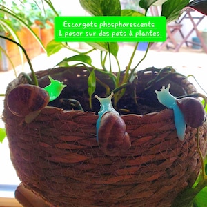 Peut inclure: Un pot de plante en osier rempli de plantes vertes, avec plusieurs escargots décoratifs et lumineux dans les tons de vert et de bleu. Les escargots sont positionnés autour du bord du panier. Le texte de l'image se lit : "Escargots phosphorescents à poser sur des pots à plantes."