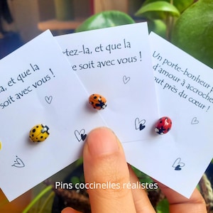 Realistische geluks lieveheersbeestjes speldjes