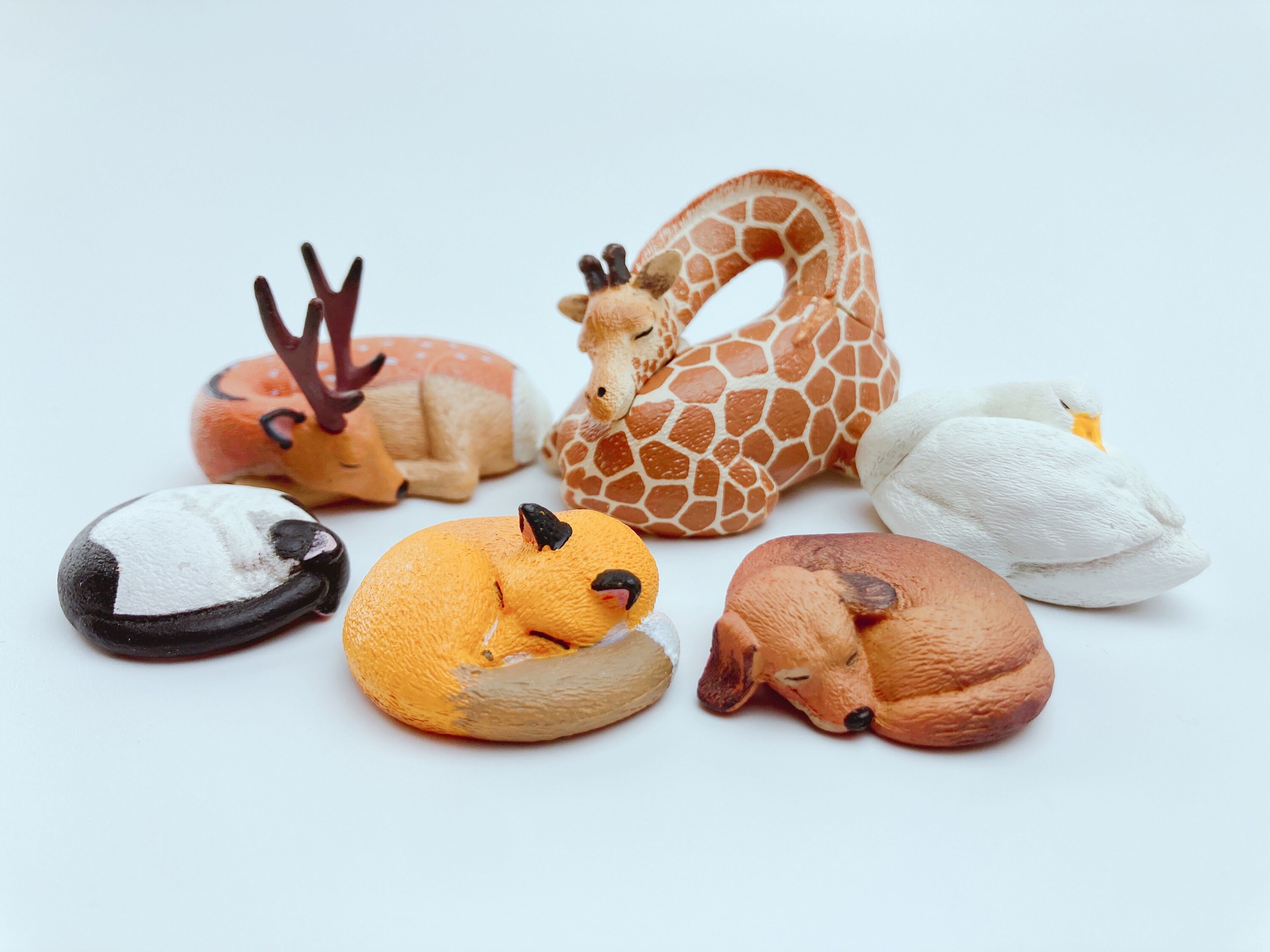 Sleeping Animals Series 8 Whole Set Sleepy Zoo Mini Etsy