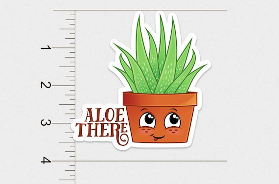 CANT TOUCH THIS Funny Cactus Pot Gardening Succulents Vinyl Decal Sticker B