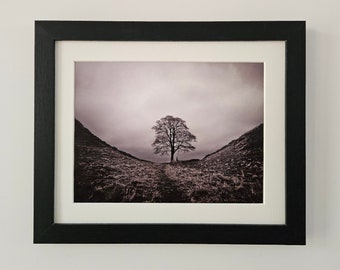 11 x 9 inch Framed Mounted Wall Art Sycamore Gap Tree Northumberland Black and White Grey Photograph Picture Hanging Free Standing Stand