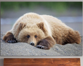 Gran lienzo de oso Arte de pared Oso grizzly Impresión fotográfica multipanel Póster de animales salvajes Impresión de vida silvestre Decoración colgante de pared para la decoración de la sala de estar