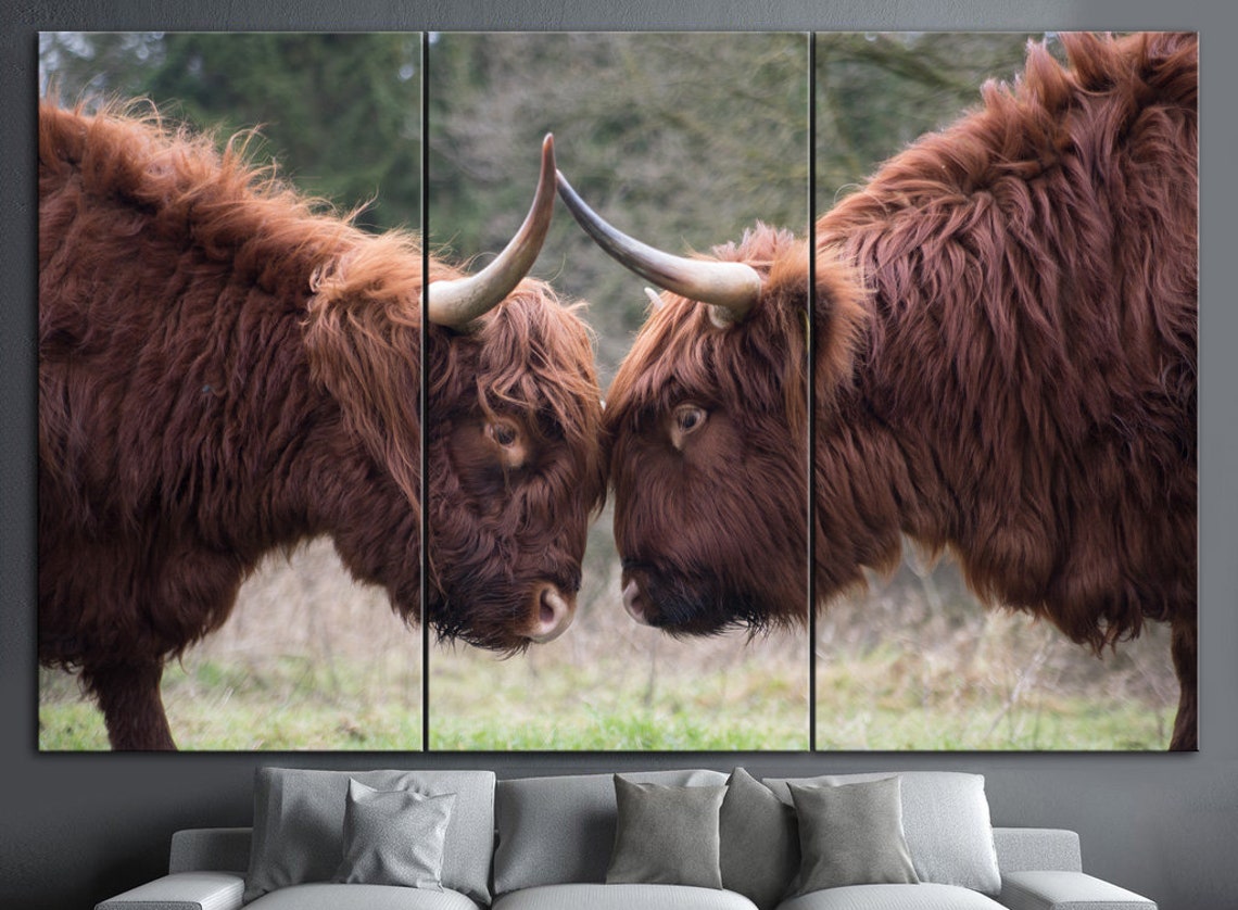 Bulls Canvas Wall Art Wild Animals Print Bull Canvas Print Etsy
