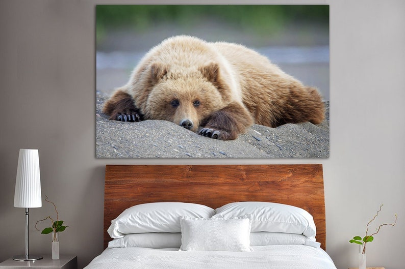 Large Bear Canvas Wall Art Grizzly Bear Multi Panel Photo Print Wild Animal Poster Wildlife Print Wall Hanging Decor for Living Room Decor image 1