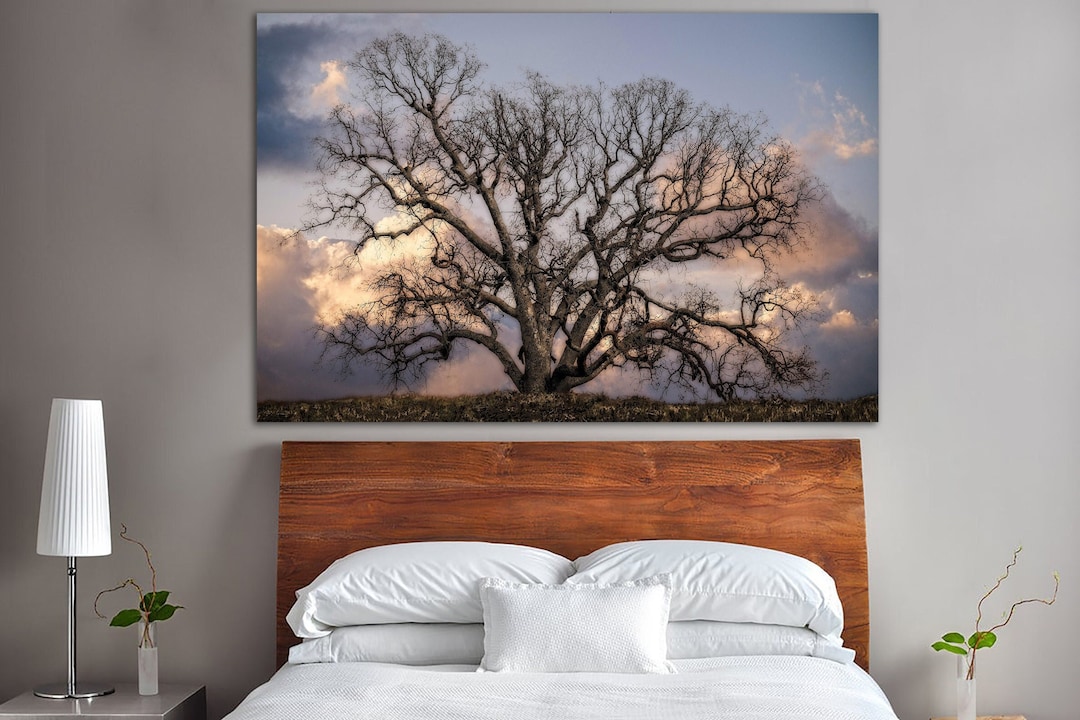 The Big Oak Tree Canvas Wall Art Nature Landscape Multi Panel Print Big