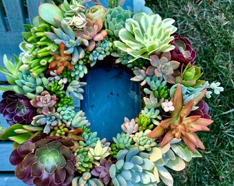 Live Succulent wreath with built in hanger/Mother’s Day gift/ New Year gift/Centrepiece/wedding decor/ door wreath/ Housewarming gift