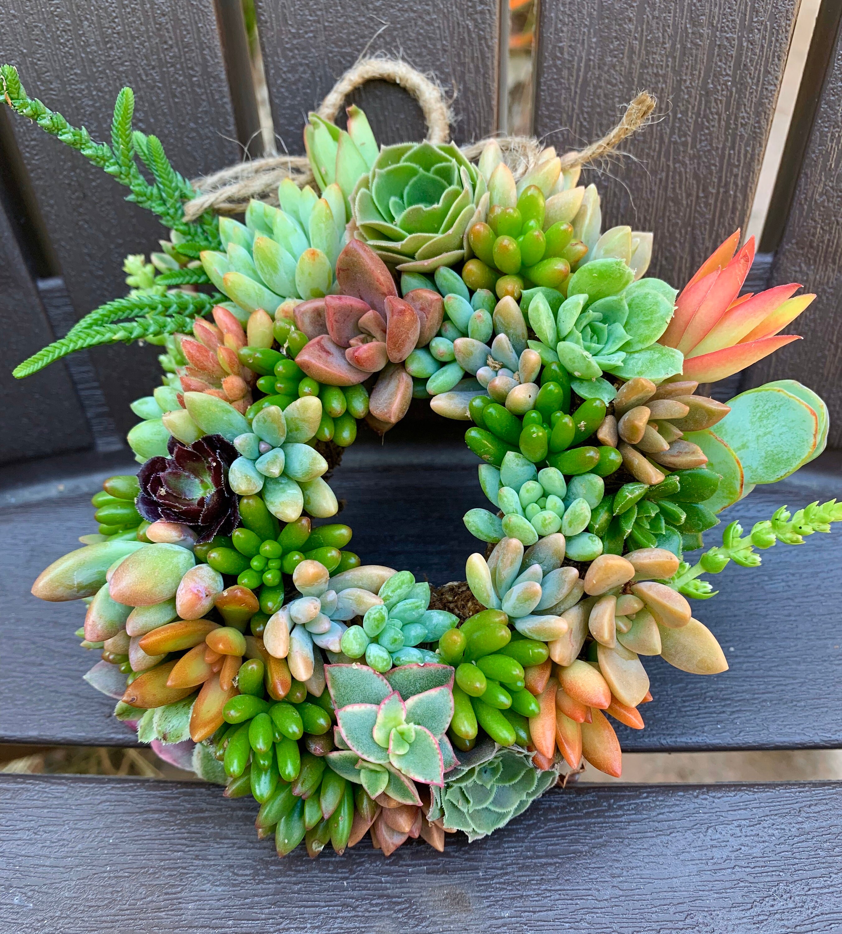 How To Make Live Succulent Wreaths / Succulent Wreath And Arrangements