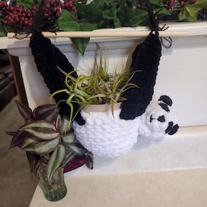 May include: A white crocheted panda hanging planter with black crocheted arms and legs. The planter is holding a small green plant.