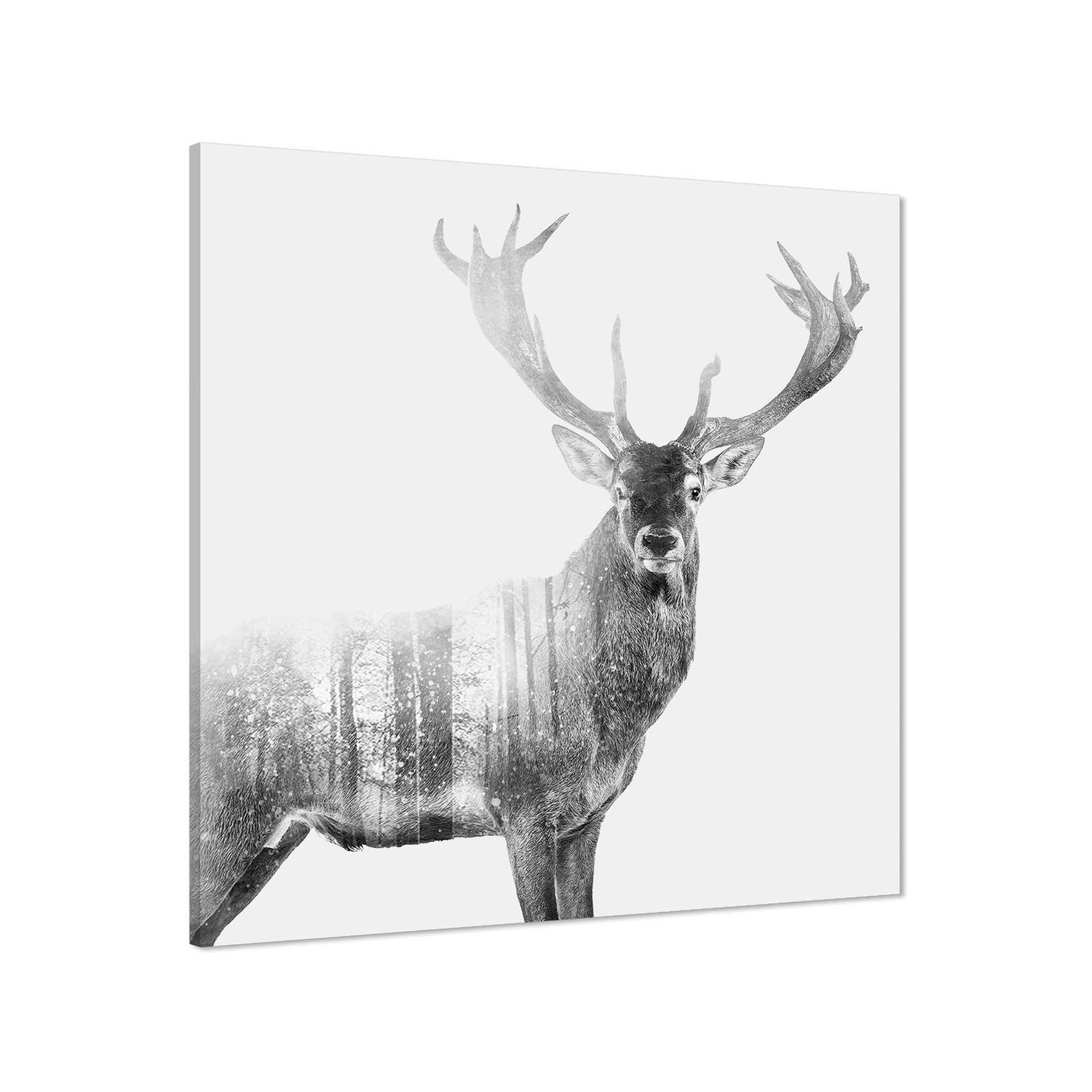 Stag Canvas Art Prints Black and White Grey Etsy