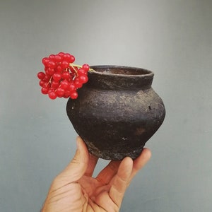 Puede incluir: Una mano sostiene una pequeña olla de barro marrón oscuro con un racimo de bayas rojas brillantes en un tallo que descansa en el borde.