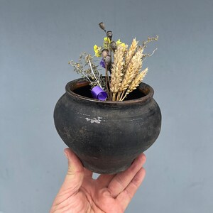 Könnte beinhalten: Ein kleiner, dunkelbrauner Tontopf mit einer breiten Öffnung, gefüllt mit getrockneten Blumen und Weizenähren. Der Topf wird in der Hand einer Person gehalten.