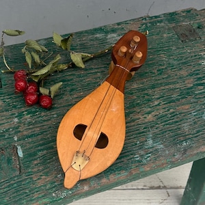 May include: A small, wooden, light brown, stringed instrument with a pear-shaped body and a rounded headstock. The instrument has four tuning pegs and a single string. The instrument is lying on a green wooden surface.