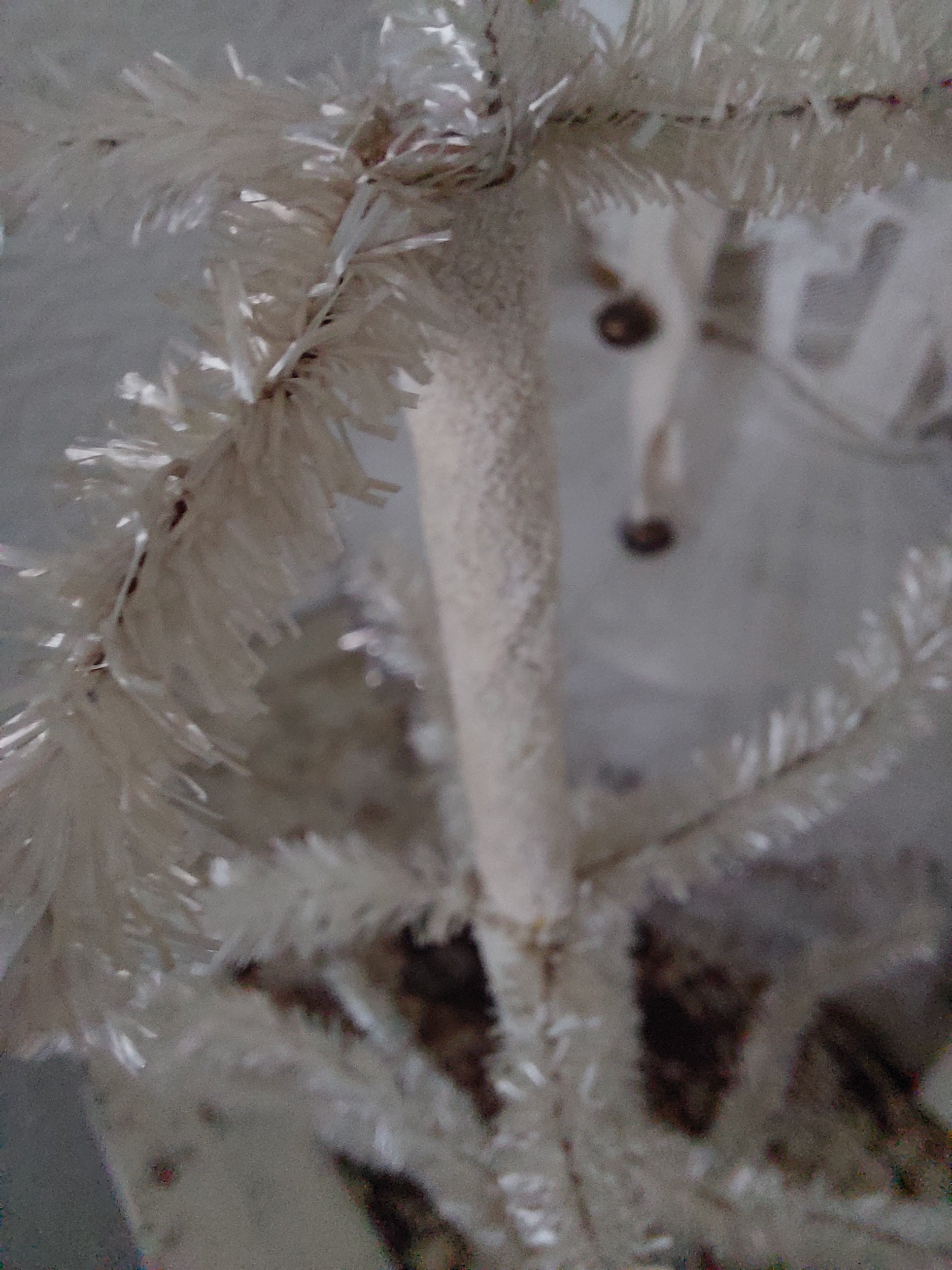 Antique Vintage Feather Tree Christmas Tree White 1950 1950s Sugared Etsy