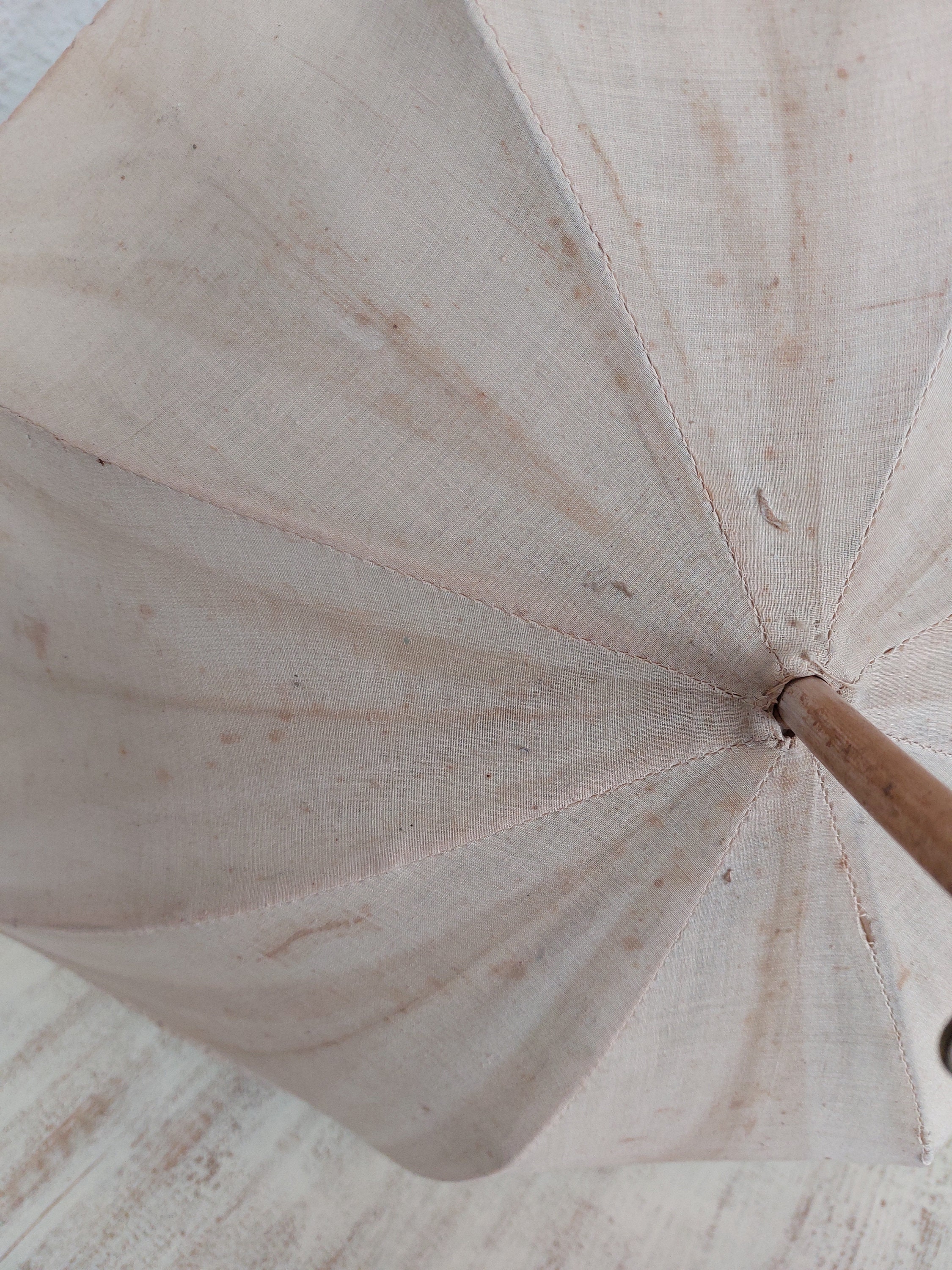 Antique Victorian 1800 1800s 19th Century Cream French Blue Silk