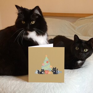 May include: A Christmas card featuring two black cats with white markings. The card has a brown background with a green Christmas tree and presents.