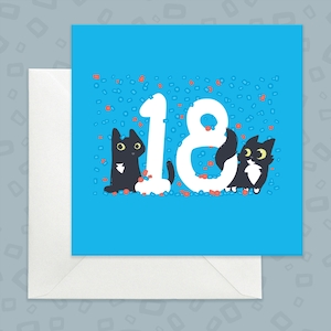 18th Birthday card with black cat, Eighteenth cat birthday card, Black cat 18th birthday card, 18th tuxedo cat card, Card for 18th birthday