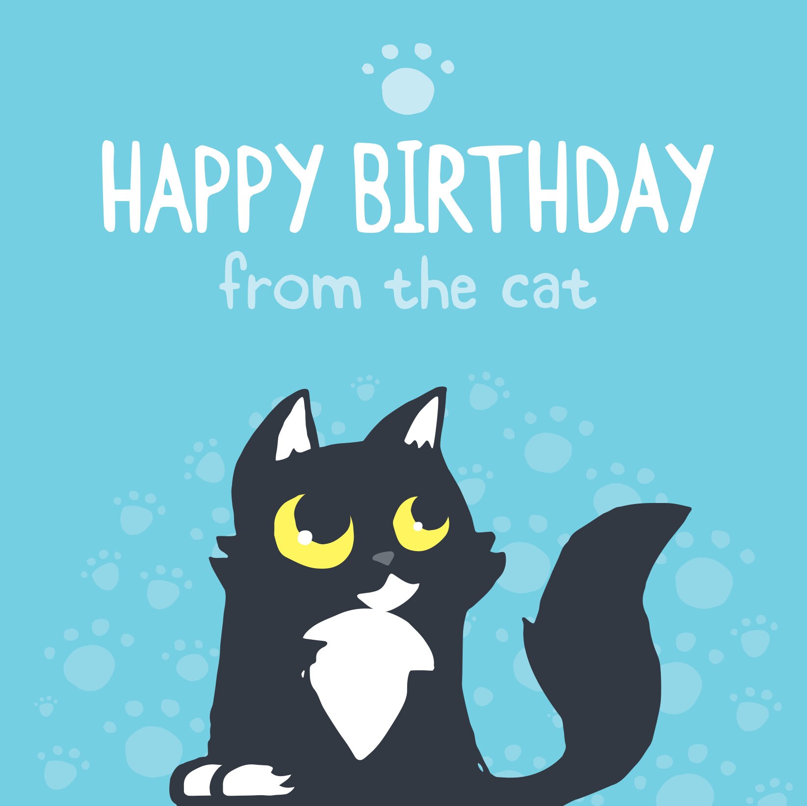 Happy Birthday From the Cat Card Birthday Card for Cat Lover Etsy UK