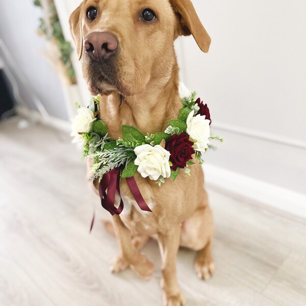 Wedding Dog Collar Etsy